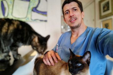 veterinaria a domiciio