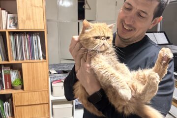 veterinario-a-domicilio-caba.jpg
